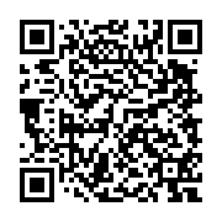 QR code for plate UDT 410