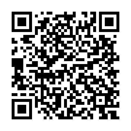 QR code for plate UDU 502
