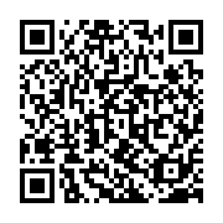 QR code for UDW311