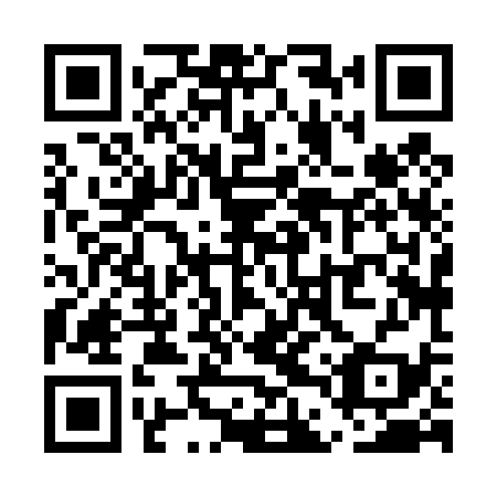 QR code for UDX439