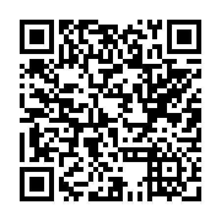 QR code for plate UED 676