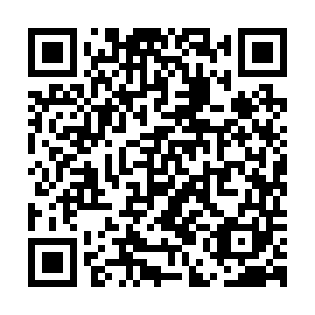 QR code for UEI 241