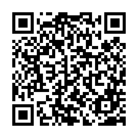 QR code for plate UEM 446