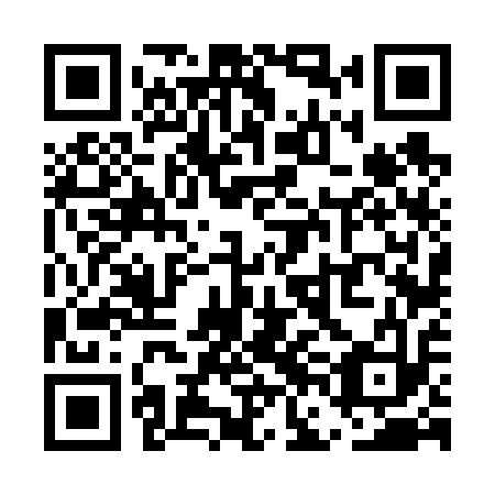 QR code for plate UFF 613