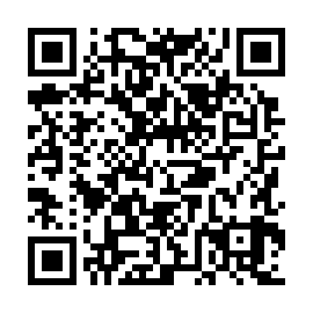 QR code for plate UFH 389