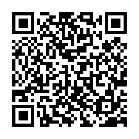 QR code for plate UFL 432