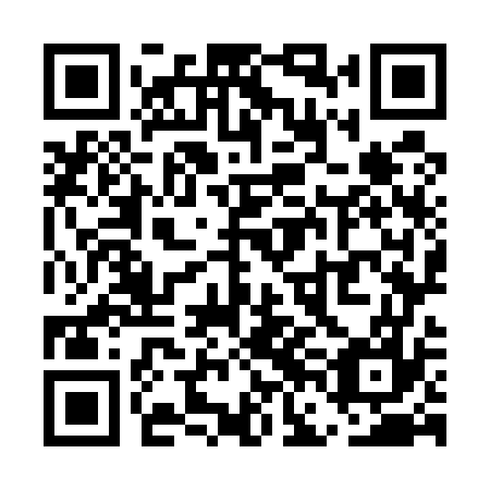 QR code for plate UFO 577