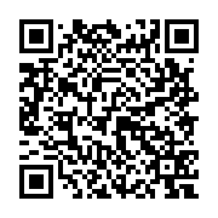 QR code for plate UFX 175