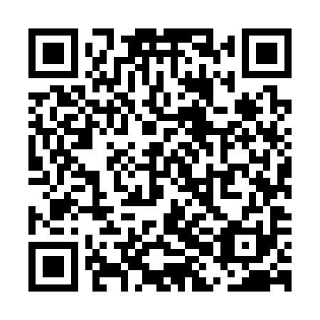 QR code for plate UHM 391