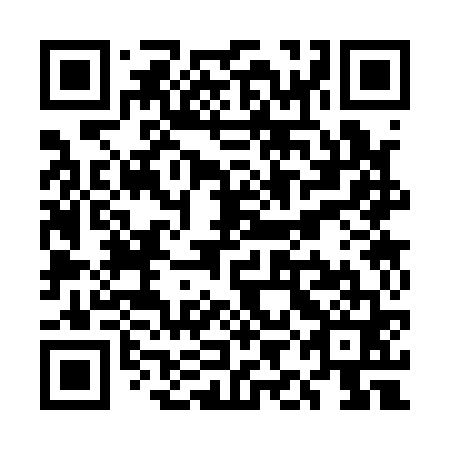 QR code for plate UIC 161