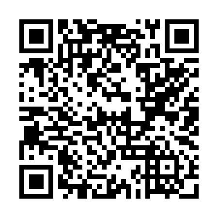 QR code for plate UJI 294