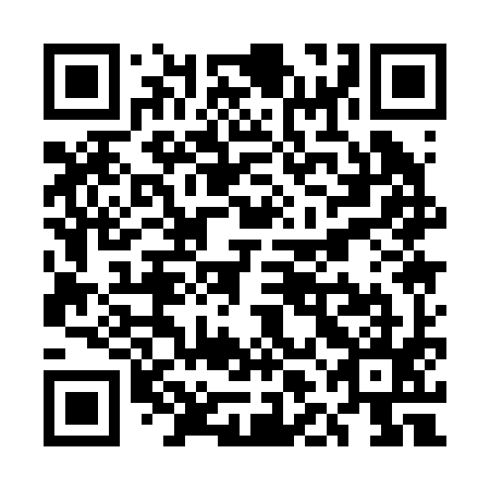 QR code for ULA 295