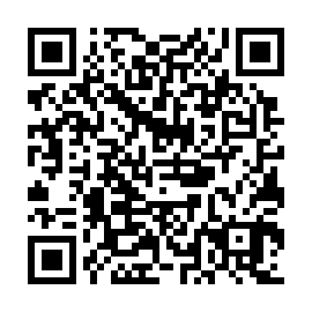 QR code for plate ULG 300