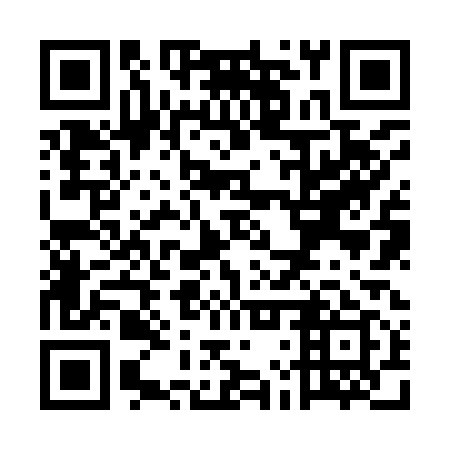 QR code for ULZ 919