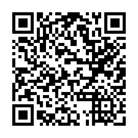 QR code for UMD 336