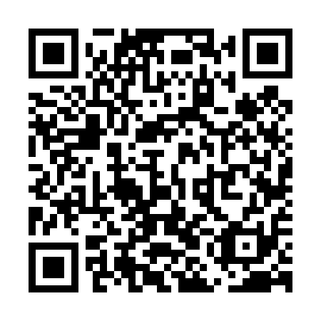 QR code for UMF 411