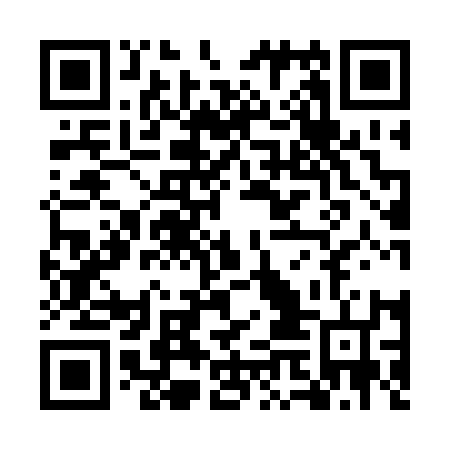 QR code for plate UMI 216
