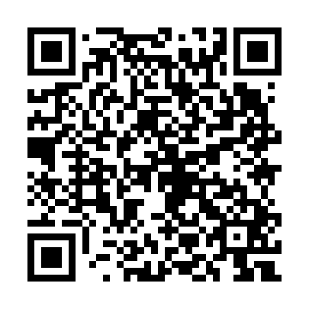 QR code for plate UMI 641