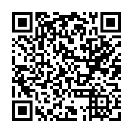 QR code for plate UMN 171