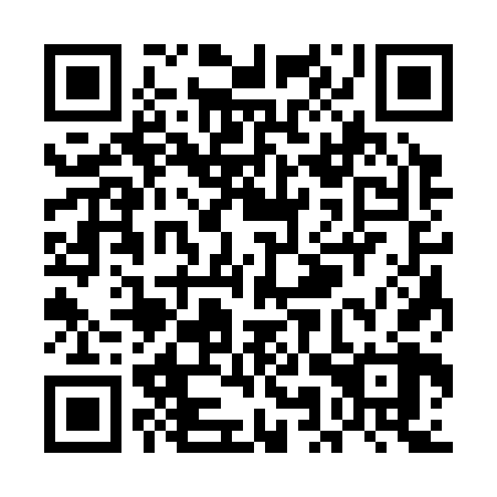QR code for plate UMS 368