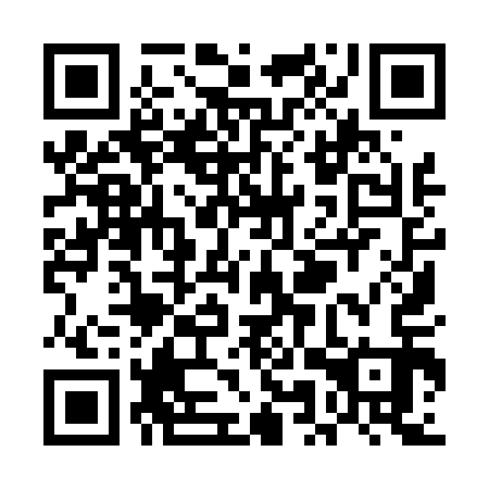 QR code for plate UMY 413