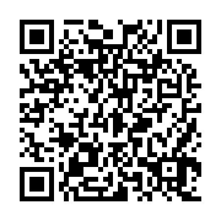 QR code for UMZ 966