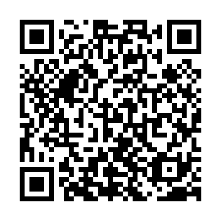 QR code for plate UNK 031