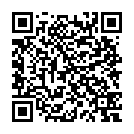 QR code for UPM 739