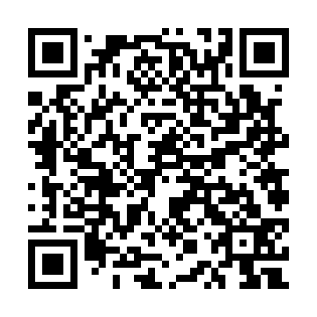 QR code for UPV 133