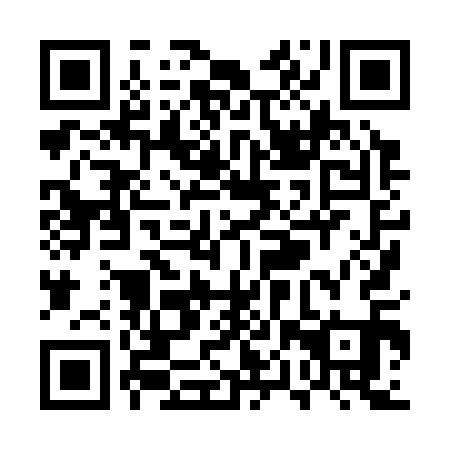 QR code for plate UPX 311