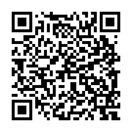 QR code for plate UQL 393