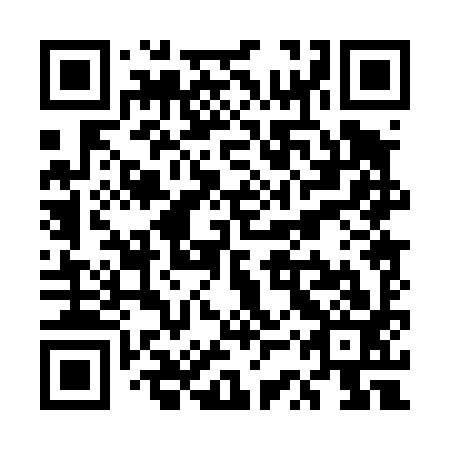QR code for USP 493