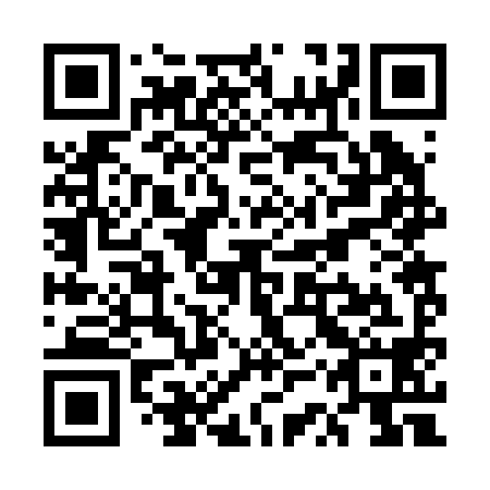 QR code for plate USR 298