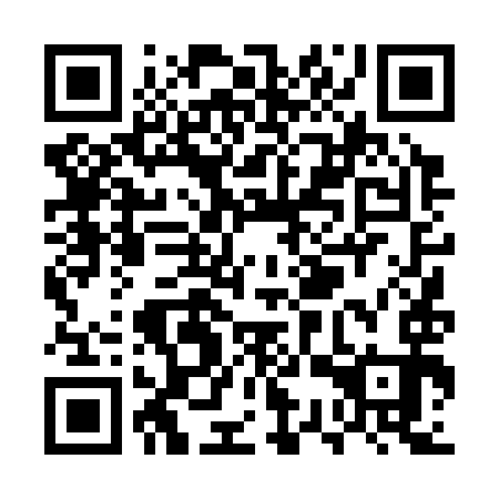 QR code for UST 393
