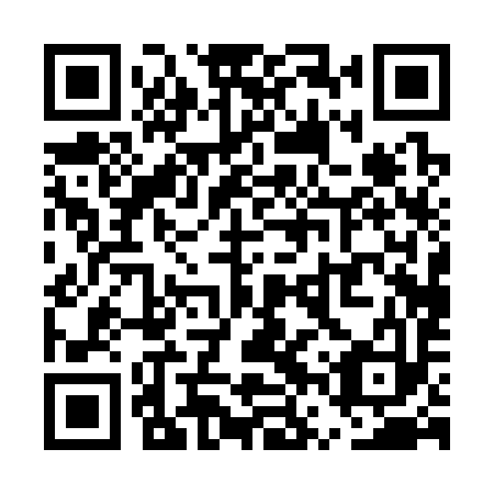 QR code for UVP393