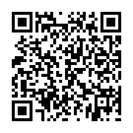 QR code for UYI 393