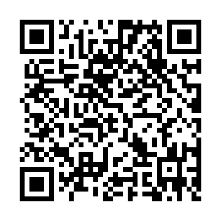 QR code for plate UYP 813