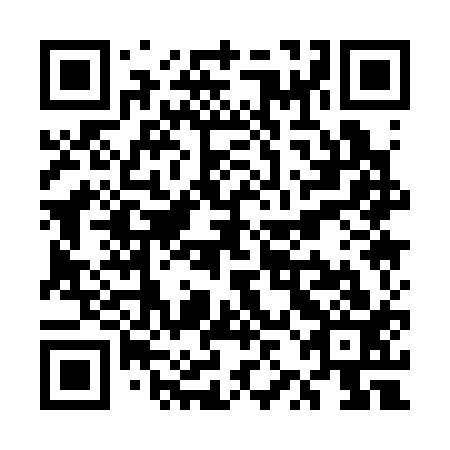 QR code for UZA 313