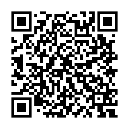 QR code for UZI 161