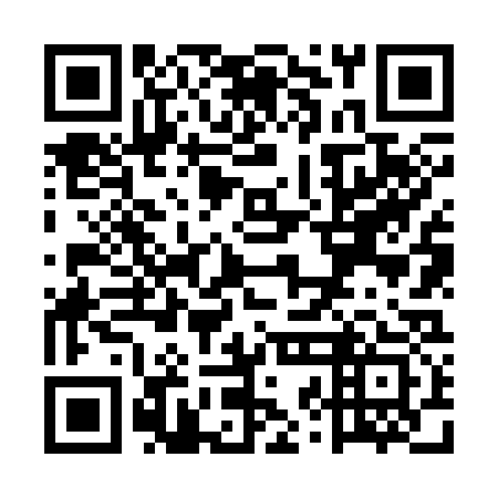 QR code for UZN 333