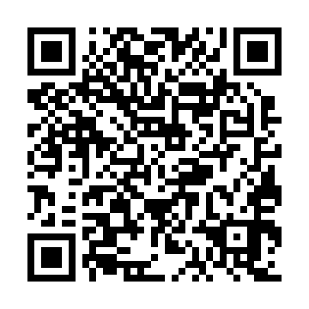 QR code for plate VAG 250