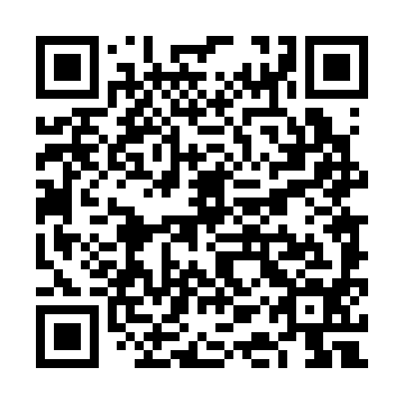 QR code for VAT 394