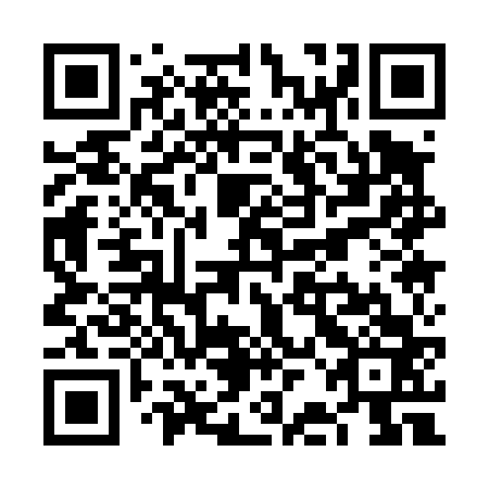 QR code for VBA 463