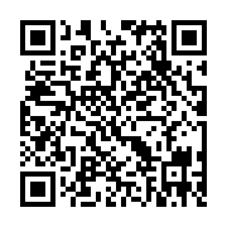 QR code for plate VBS 739