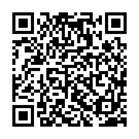 QR code for VBX 313