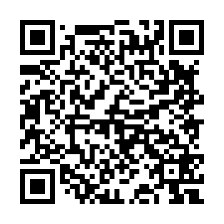 QR code for VBX 868