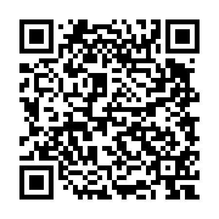 QR code for VCD 411