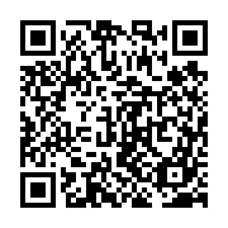QR code for plate VCE 667