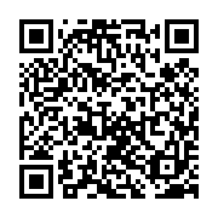 QR code for VDE 493