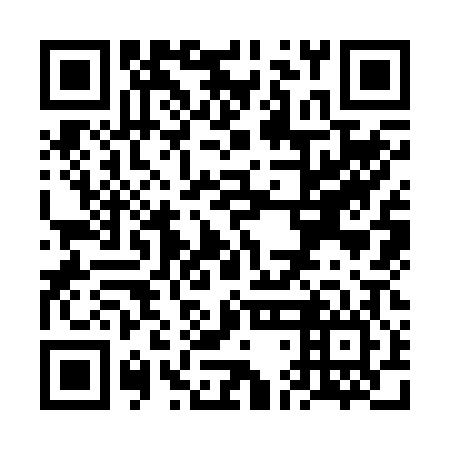 QR code for VDK 206